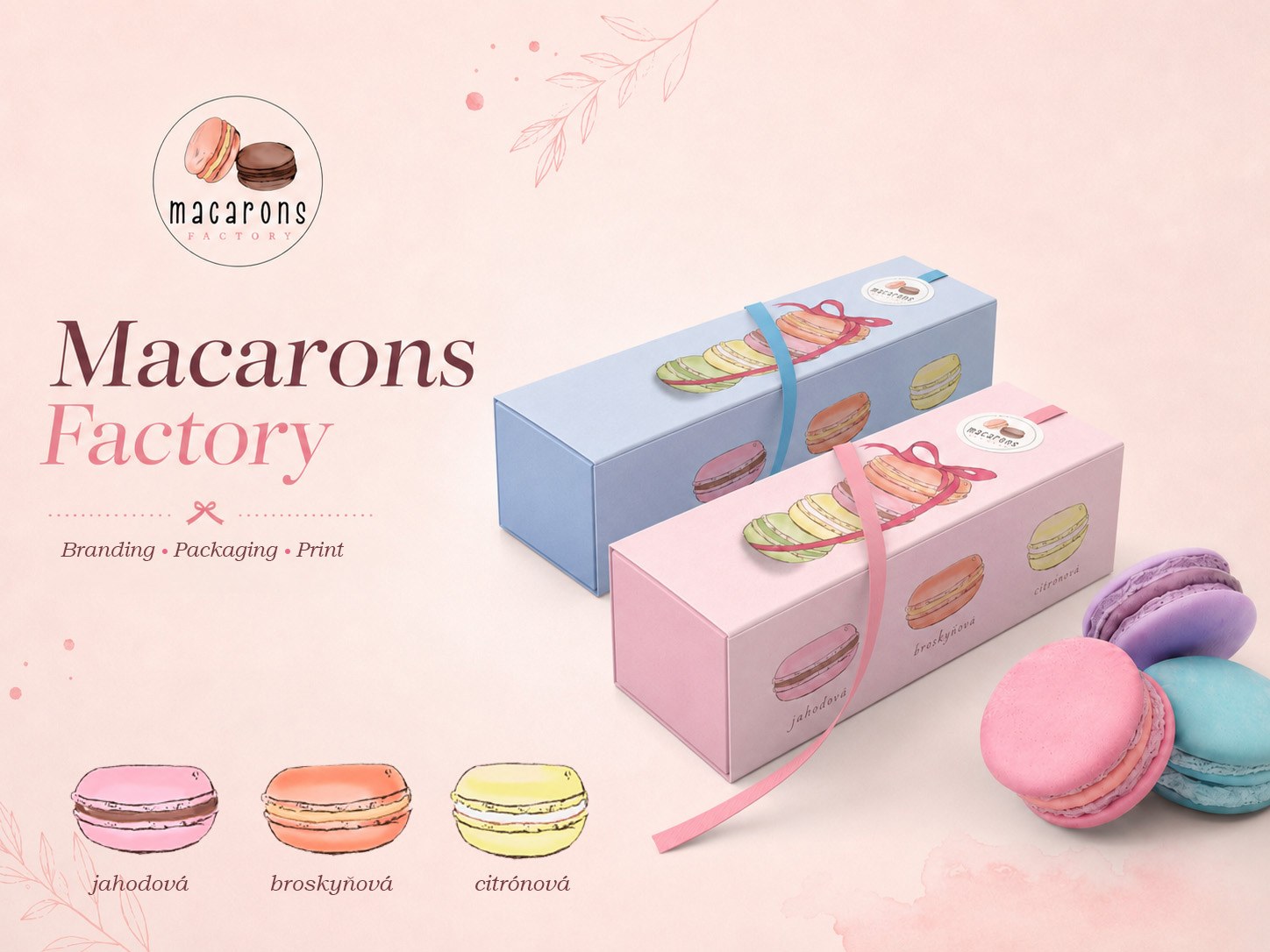 Macarons Factory
