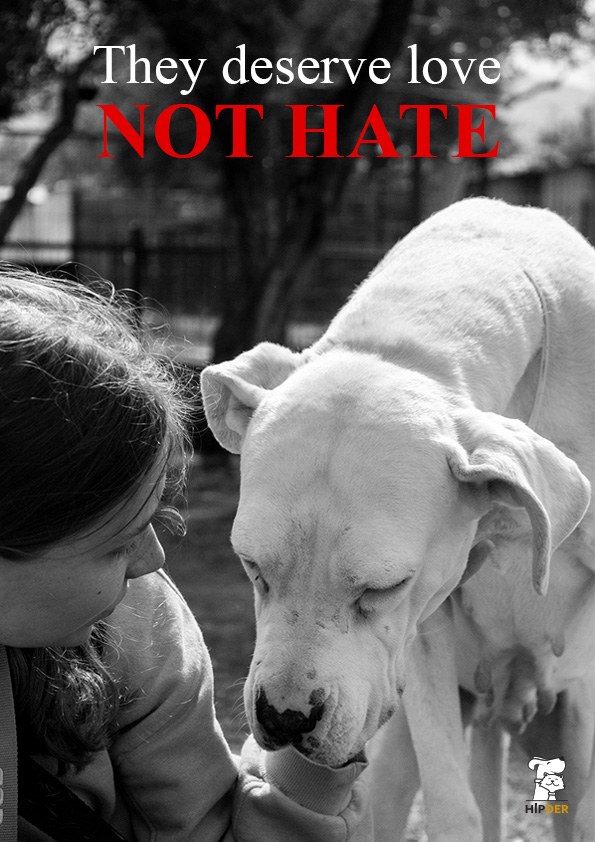 They deserve love, not hate